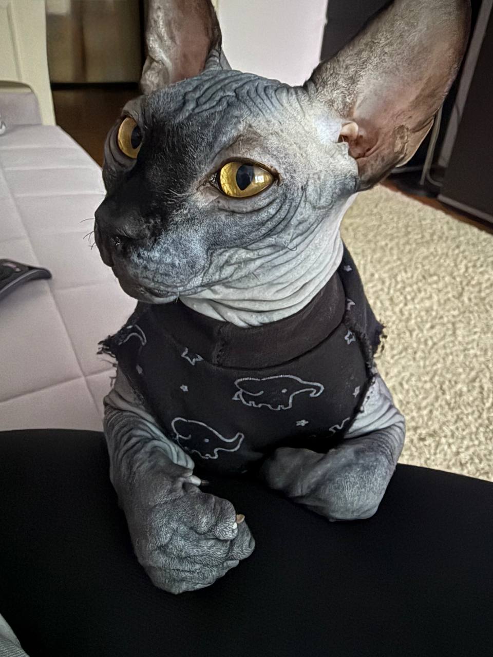 Доброе утро, Кубань!. Краснодар +14 °С Доброе утро, Кубань!. Краснодар +14 °С