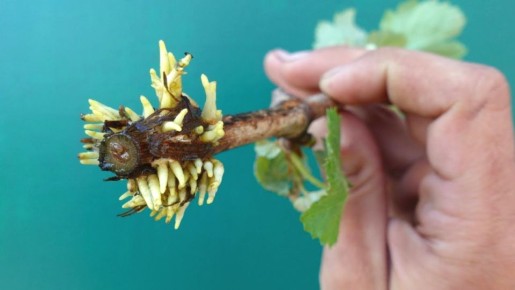 ��� ��������� ������� ����� � �������� ����� �� ���� ���� ��� �����