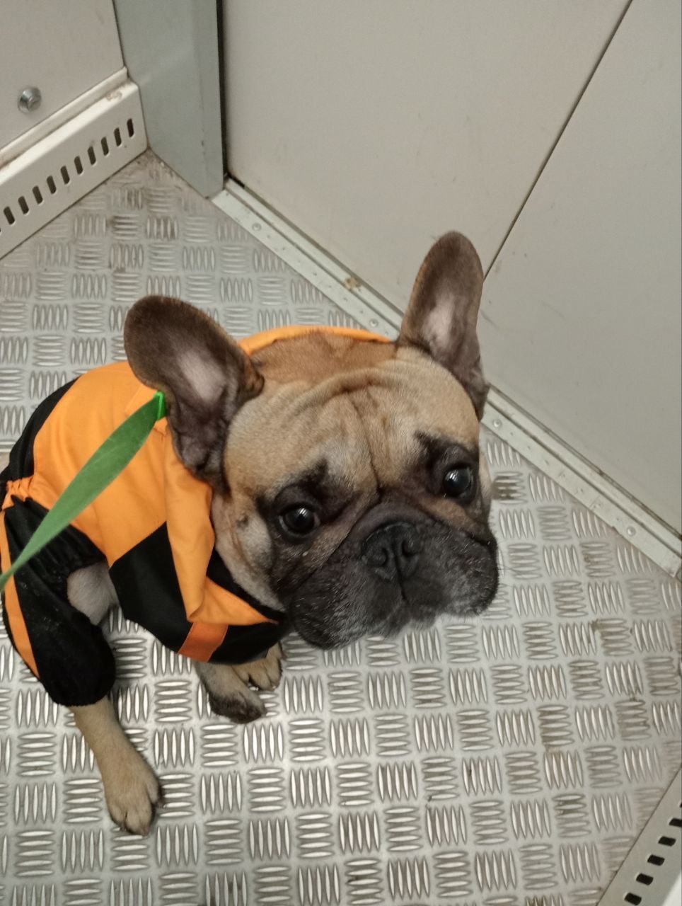 Доброе утро, Кубань!. Краснодар +14 °С Доброе утро, Кубань!. Краснодар +14 °С