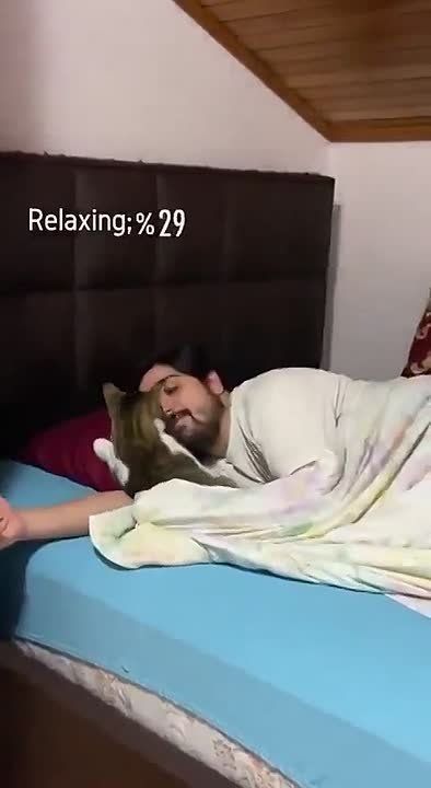 ����������, ��� ��������� �����