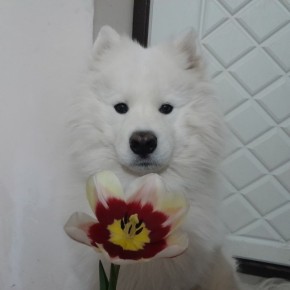 ������ ����, ������!. ��������� +14 ��