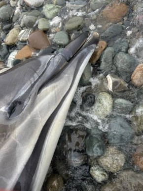 132 ������ �������� ����� �� ��������� �� ������ �� ������� ����� �� �����