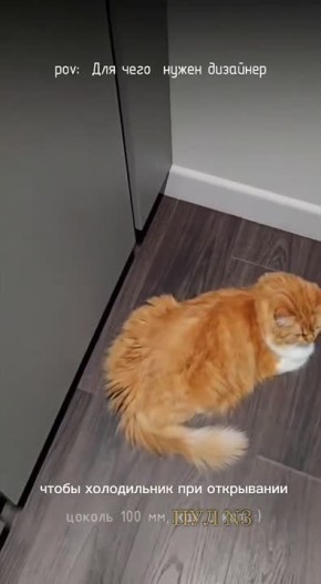 ���� ��� ���� ����� �������� � ��� ����, ����� �� ����� ����������. ��� �������� ���� ������� ������ ���� � ��� ���� ������ ������ ������, ����� ����������� ��� ���������� �������� ��������, ��� ������ ������ ����. ���...