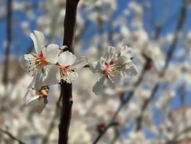 ��� ���� ��������� �������