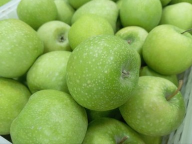 �������� ����������� ��� ������� �������������� ���������