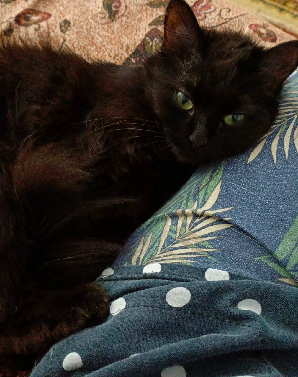 О погоде на 12 апреля . В Краснодарском крае переменная облачность О погоде на 12 апреля . В Краснодарском крае переменная облачность