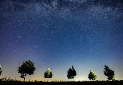 �������� ������ ������� �����������, � ���� ������� �����