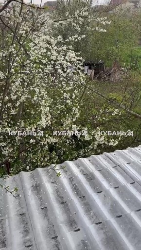 ���� �� ���� ���������� ����� � ����������