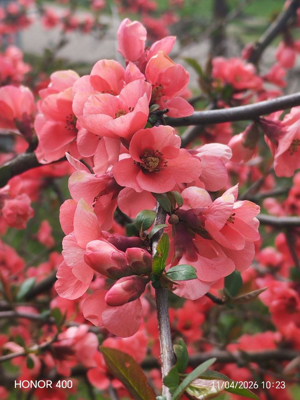 О погоде на 12 апреля . В Краснодарском крае переменная облачность О погоде на 12 апреля . В Краснодарском крае переменная облачность