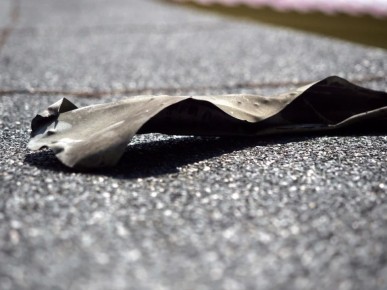 � ������ ���������������� ��������� �������������� ������ ����� ����