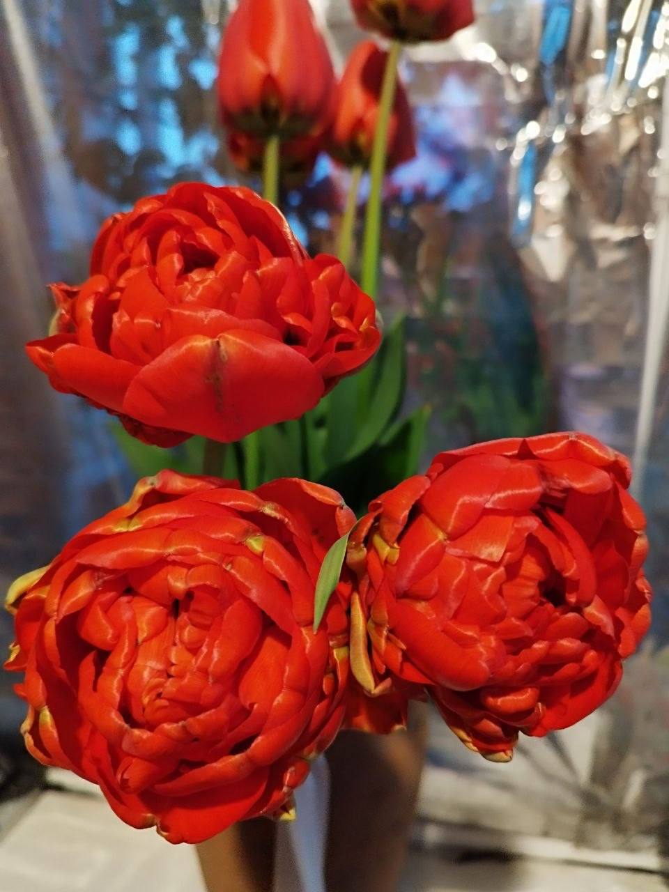 О погоде на 12 апреля . В Краснодарском крае переменная облачность О погоде на 12 апреля . В Краснодарском крае переменная облачность