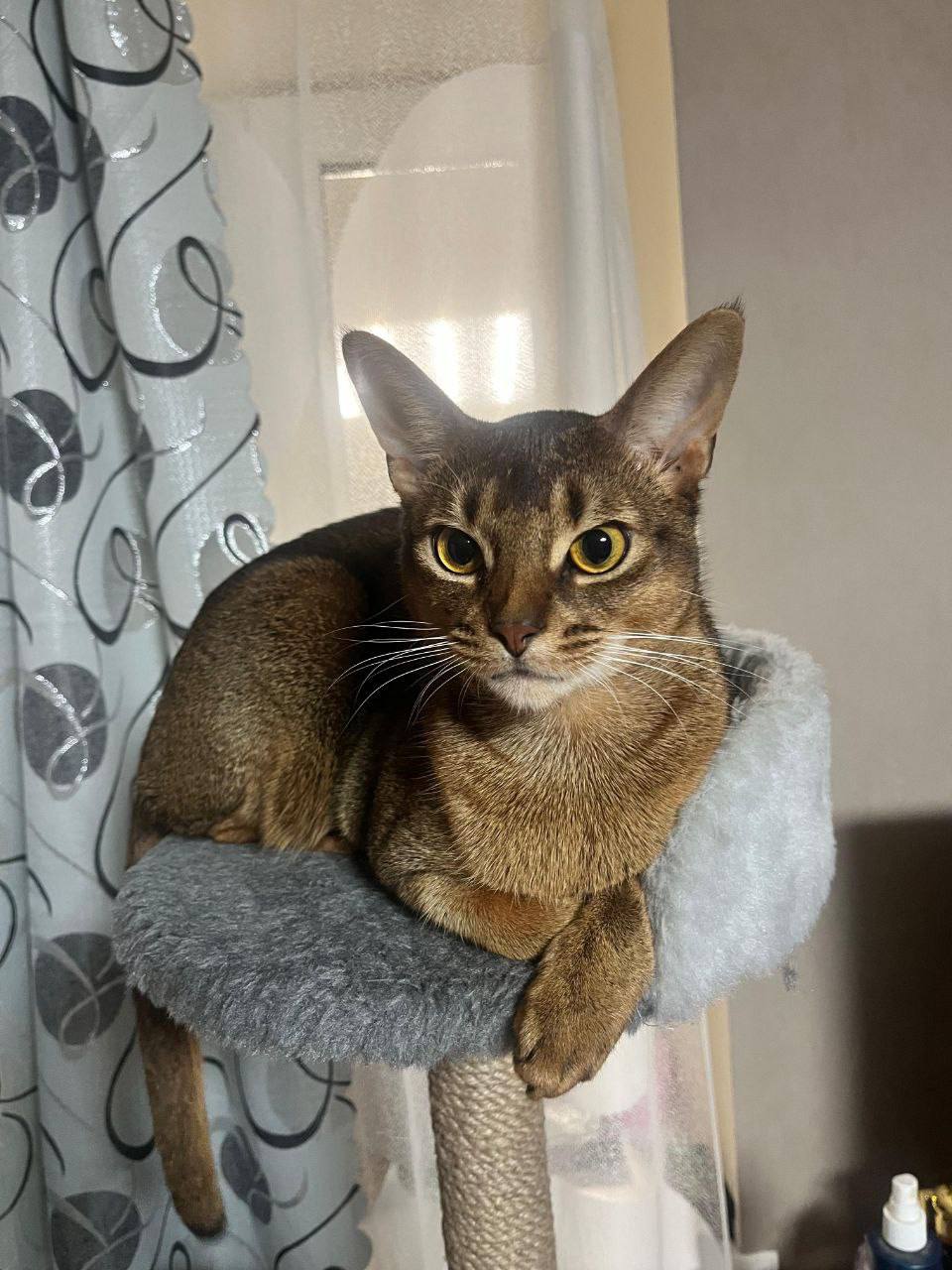 О погоде на 12 апреля . В Краснодарском крае переменная облачность О погоде на 12 апреля . В Краснодарском крае переменная облачность