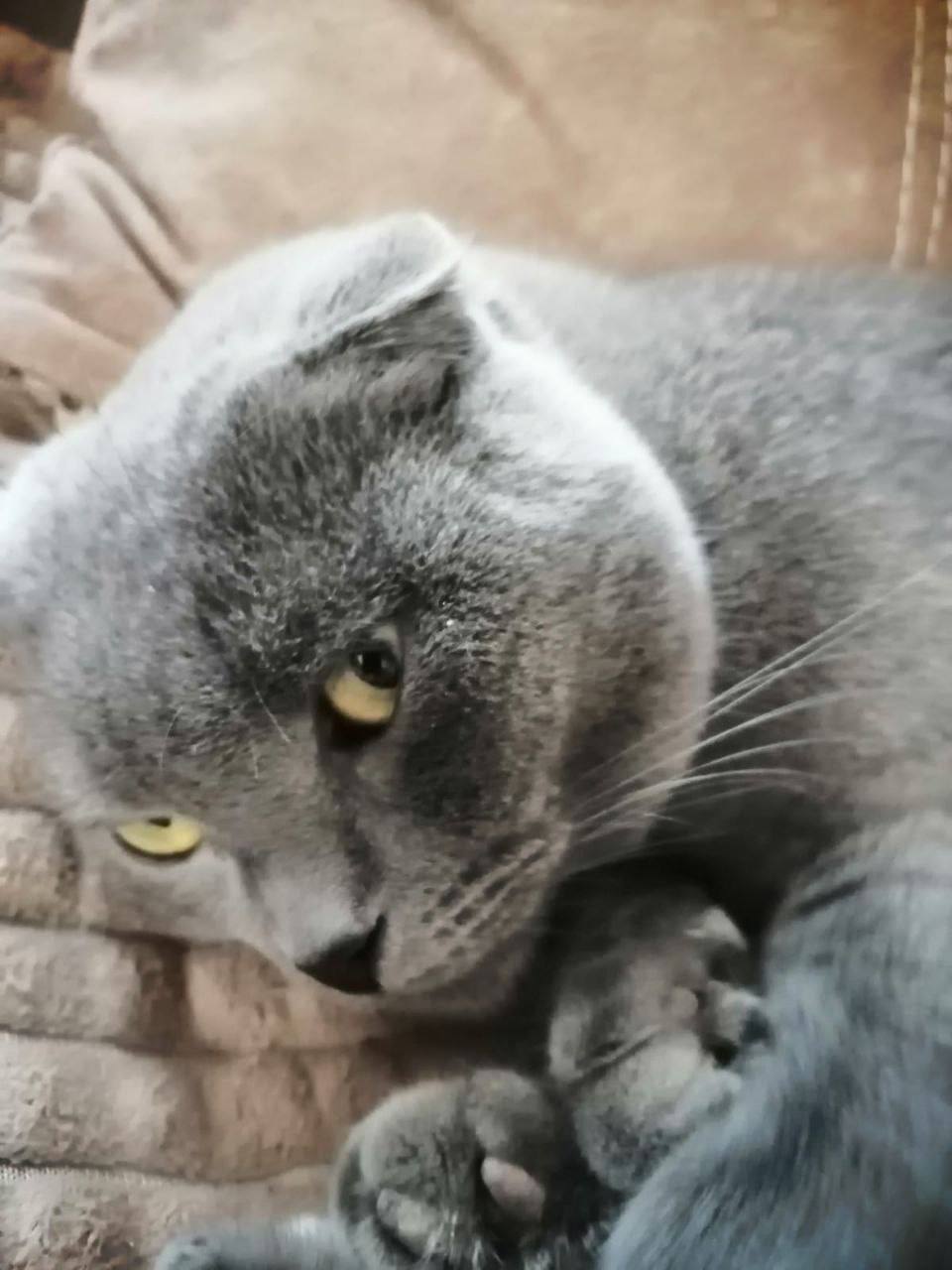 О погоде на 12 апреля . В Краснодарском крае переменная облачность О погоде на 12 апреля . В Краснодарском крае переменная облачность