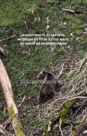 ������� �����������. � ��� ����� ��� �� ���� � ��������� ��������� �����