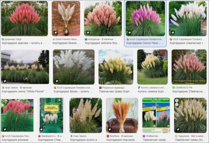 ��������� �����: ��������� �������� � ��� ������� � �������� �����