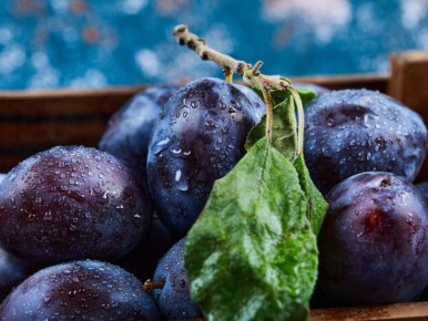 Почему август – ключевой месяц для защиты урожая слив: важность кальциевой подкормки