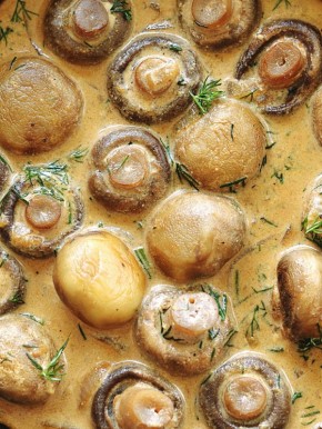 ����� � ������ �����: ������� � ������� ������� ��� �����