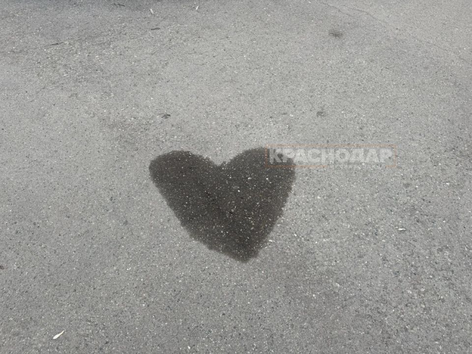 ���������� ���� ���������� ������� �����������