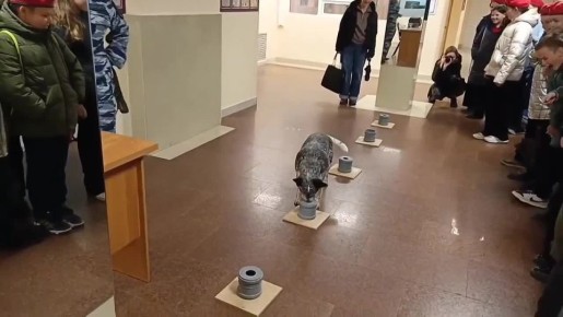 ��������� �������� �������߻ �������� ������� ����������