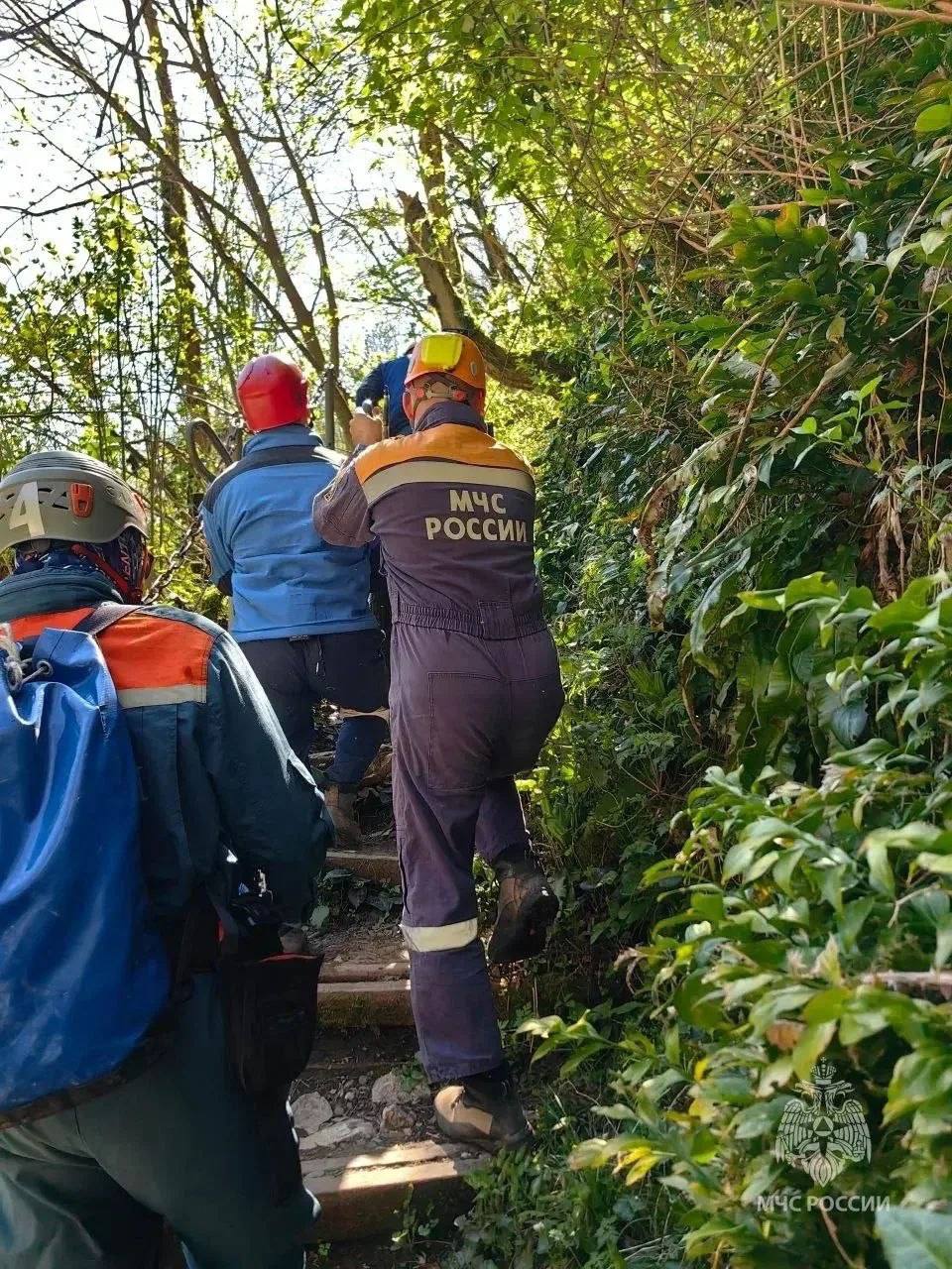 В Сочи мужчина сорвался со смотровой площадки В Сочи мужчина сорвался со смотровой площадки