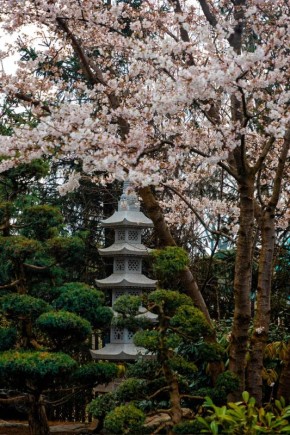 ��������� ��������� ��� � ��� ������