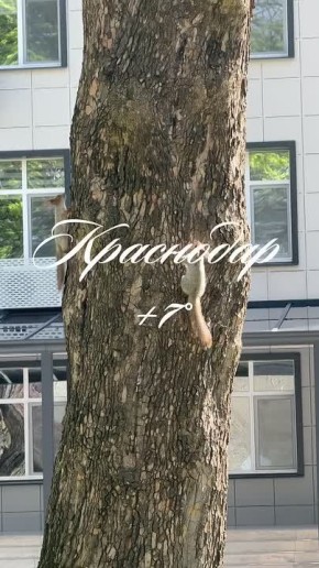 ������ ����, ���������!. ������� � ������� ������ ��������, �� +14�C