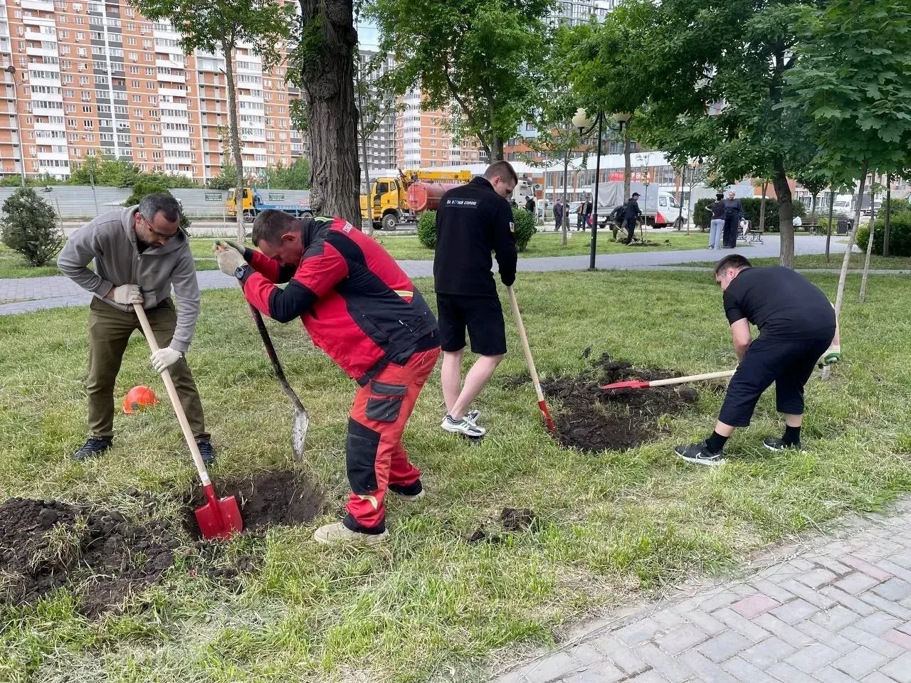 В Краснодаре высадили свыше 1 000 деревьев и 15 000 кустарников по компенсационному озеленению