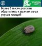 «Более 6 тысяч россиян обратились к врачам из-за укусов клещей»: Роспотребнадзор призвал россиян вакцинироваться от клещевого энцефалита