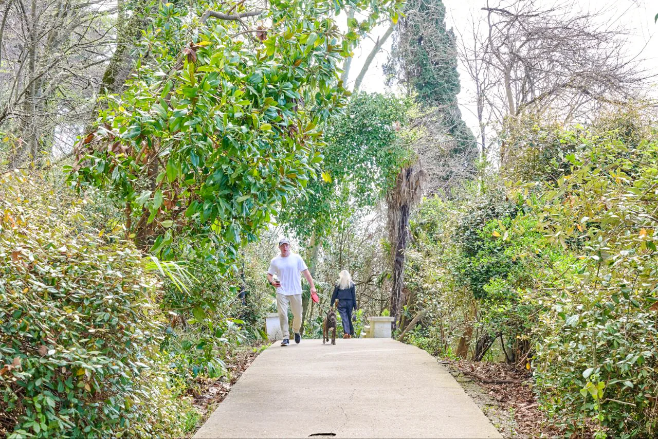 Глава Сочи Андрей Прошунин оценил подготовку пешеходного маршрута «Терренкур» к летнему сезону Глава Сочи Андрей Прошунин оценил подготовку пешеходного маршрута «Терренкур» к летнему сезону