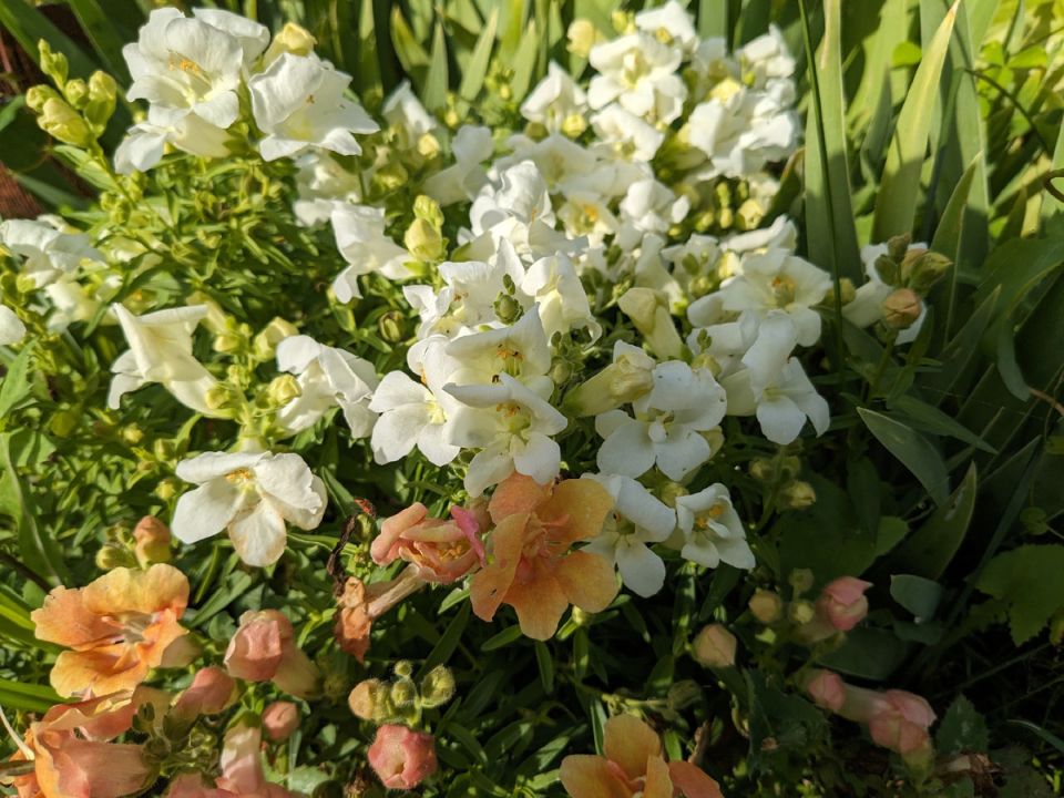 ����� ������ �� ������� ���: ������ ���� ������ �� �������� �������� ���������