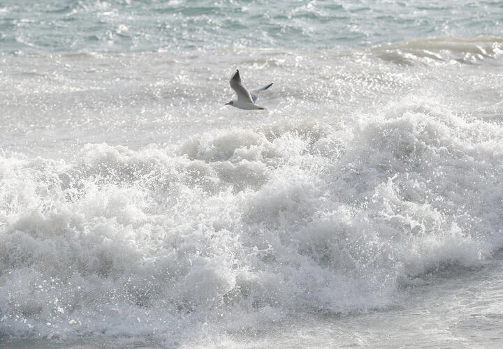 Почему холодная зима полезна для Чёрного моря, объяснил учёный
