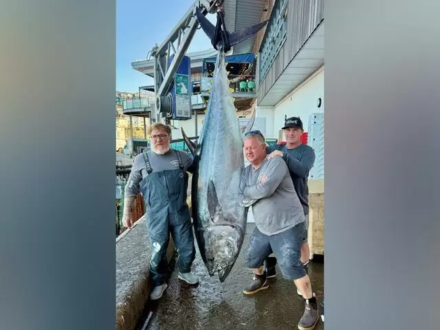 210-килограммовый тунец с аукциона: событие этого года