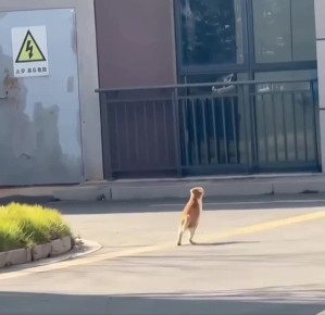 ������� ������� �� �������� ��������