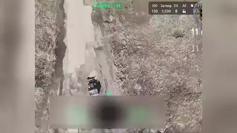 ����������� ���������: ��� ������ ���������� ����� � ���������� �� ���������