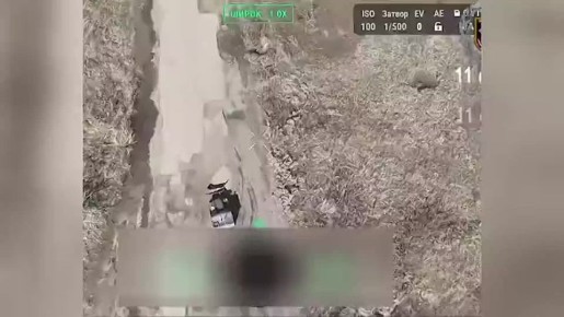 ����������� ���������: ��� ������ ���������� ����� � ���������� �� ���������