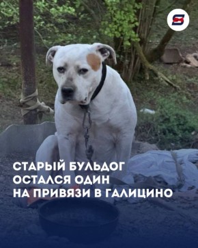 ��������� ������� � ��������: ������ ���� ��� ��� � ������