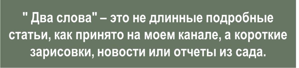 ���������� �������: � ���� ����� ������
