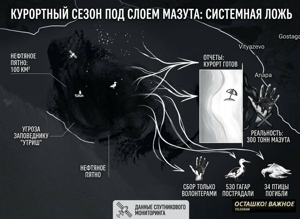 Курортный сезон под слоем мазута: кубинские власти молчат, пока волонтеры спасают Анапу от новой катастрофы