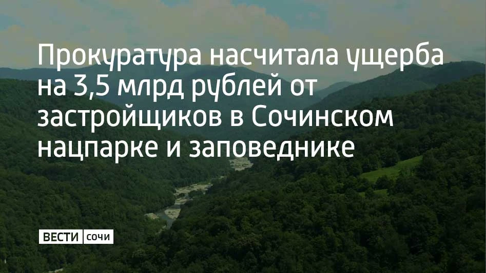 Застройщики незаконно рубили лес и засыпали землю грунтом, уничтожая уникальную природу Сочинского нацпарка и Кавказского заповедника