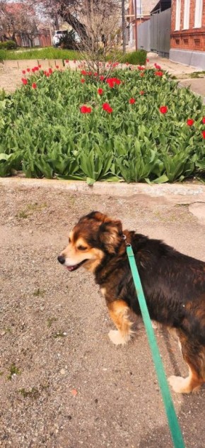 О погоде на 15 апреля . В Краснодарском крае облачно с прояснениями, местами дождь