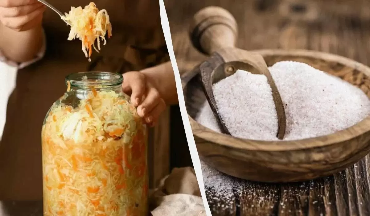 Секрет хрустящей квашеной капусты: как правильно выбрать соль и её количество