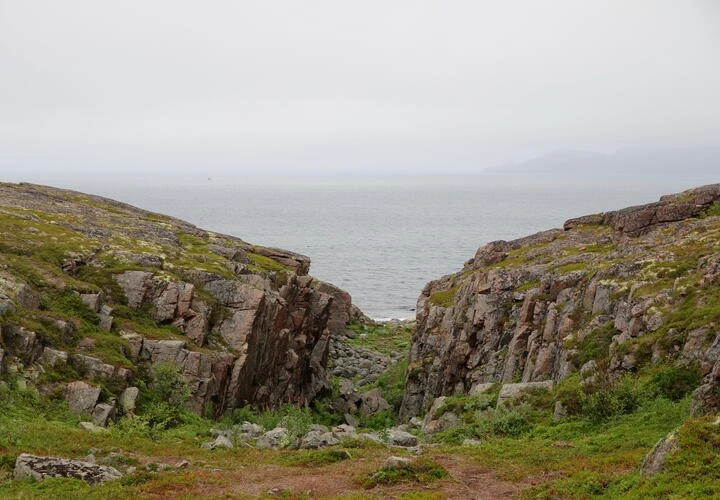 Самые серьёзные нарушения, касающиеся особо охраняемых природных территорий, зафиксированы в Сочинском национальном парке