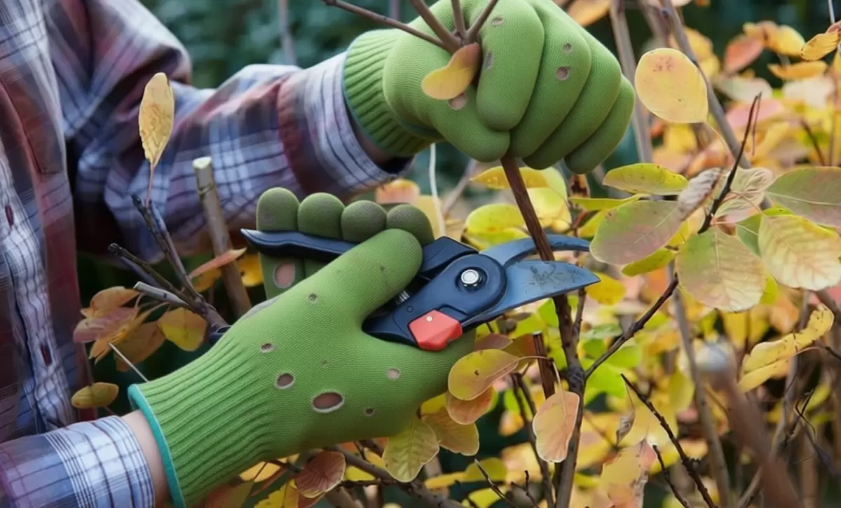 Ошибки осенней обрезки: что важно знать садоводам