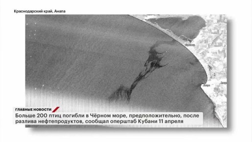 � ��������� ����� ���������� ����� ����� ������