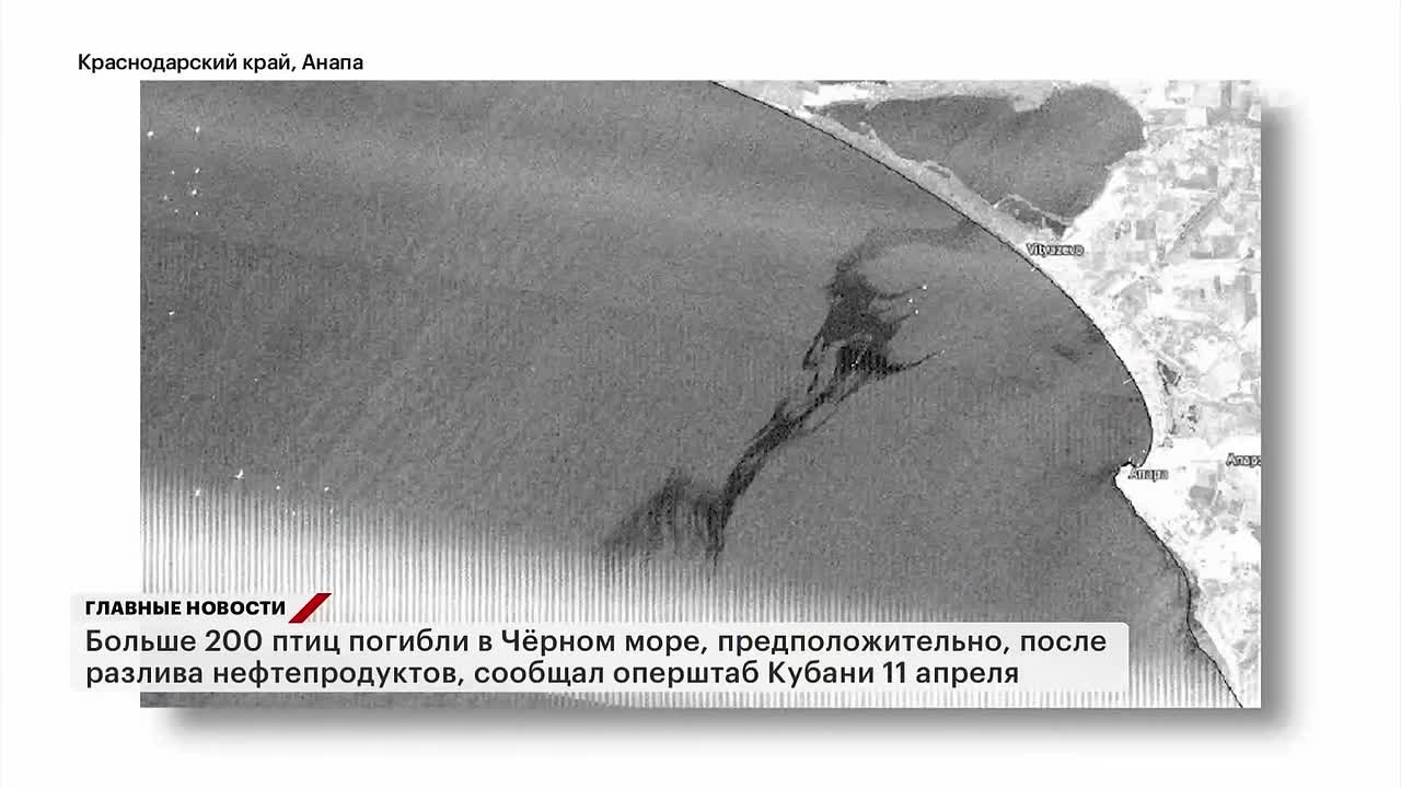 У побережья Анапы обнаружили новое пятно мазута