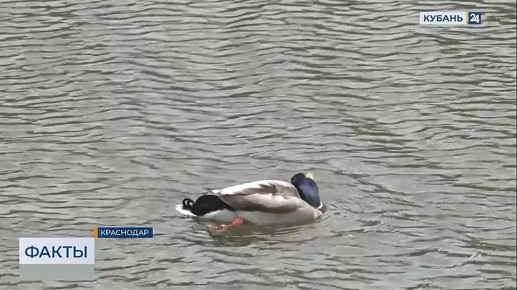 16 ������������� ��������� ������� ������ ����� ���������� ��������� ����������