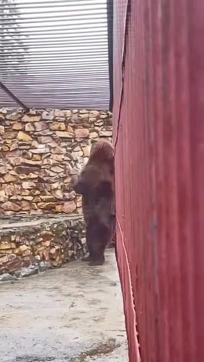 �� ���� � ������� �������: � ����������� ������� ������ ������� �������