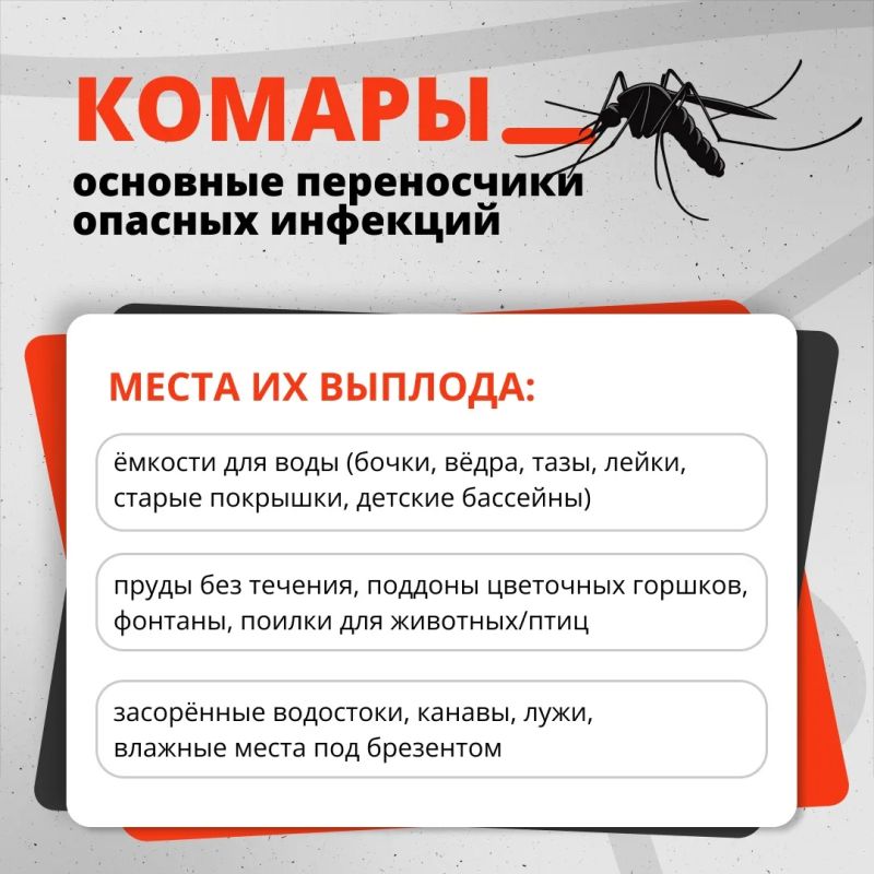 � ���������� ������� ����� ���������� ������������ ���������, ������� ����� ���� ������������� ������� ��������