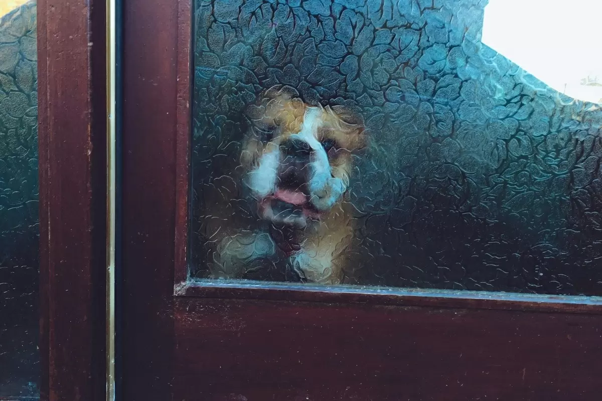 Как бережно заботиться о матовом стекле и сохранить его идеальный вид