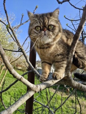 ������ ���, �� �� �������: ����� �� ������ ������ ������ ����� ����� ������